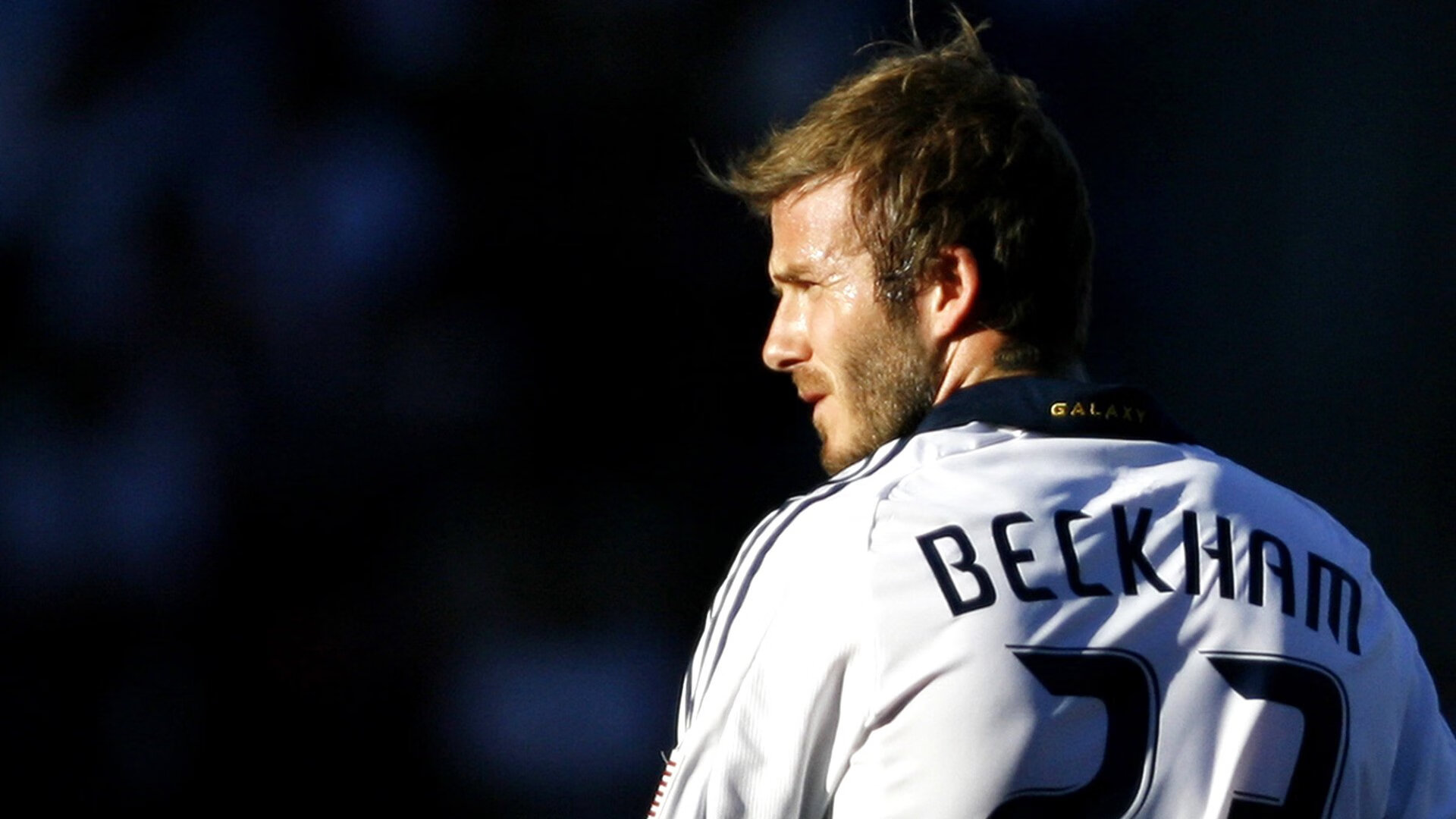 乐鱼在线登录-场馆设施智能化管理水平提升，智能场馆如何实现信息化